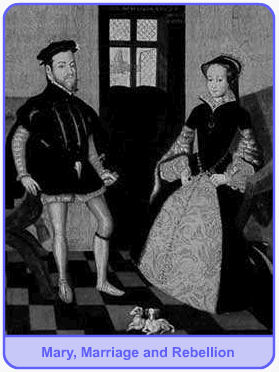Diagram - Mary, Marriage and Rebellion
