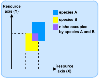 Diagram - The Concept of the Ecosystem