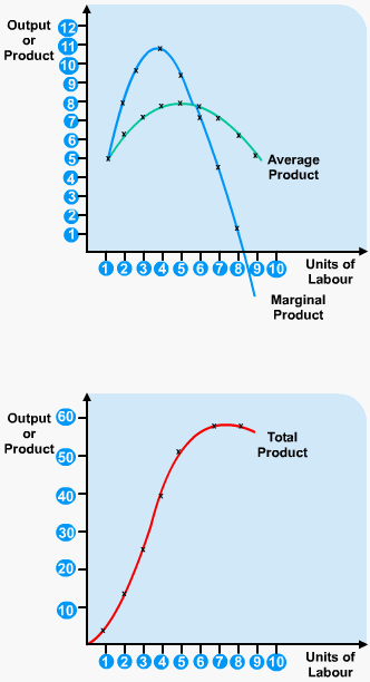 Diagram - The Law of Diminishing Marginal Returns