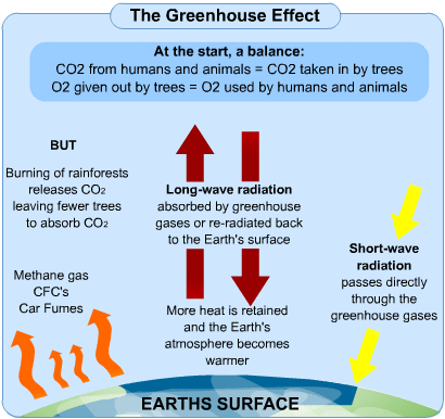 Diagram - Causes and Effects of Global Warming