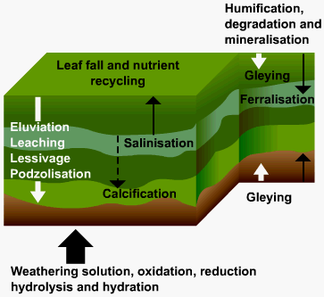 Diagram - Soil structure, formation and type