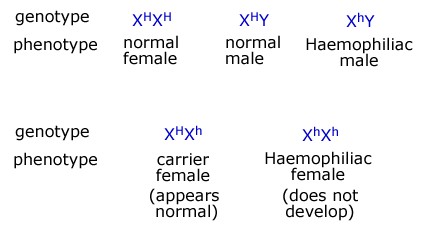 Diagram - Inherited Diseases