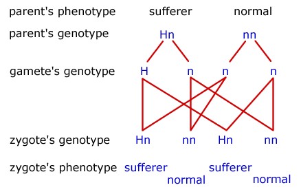 Diagram - Inherited Diseases
